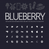 Blueberry Premium Icon Set